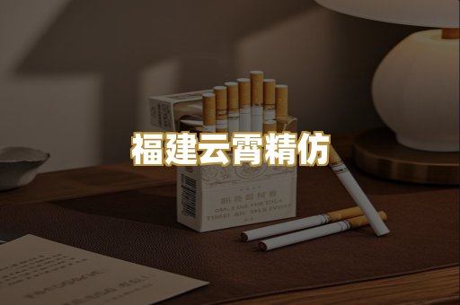 福建云霄精仿